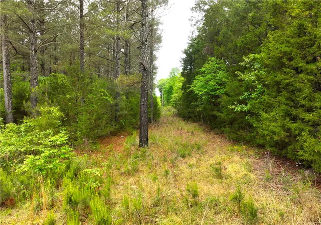 Photo 4 of House for sale at 3170 Highway 20, Abbeville, SC 29620 | MLS# 20300572 | Listing updated on 2026-09-14