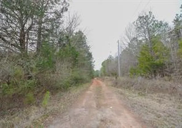 Photo 3 of Sale Pending at 00 Long Cane Ame Rd, Abbeville, SC 29620 | MLS# 20300549 | Listing updated on 2026-08-31