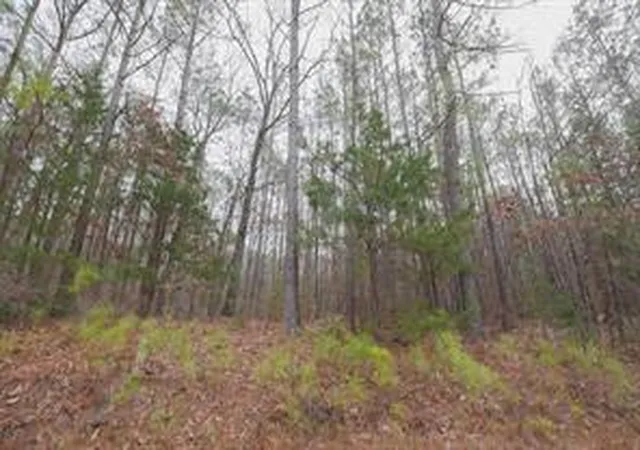 Photo 3 of Sale Pending at 00 Long Cane Ame Rd, Abbeville, SC 29620 | MLS# 20300549 | Listing updated on 2026-08-31