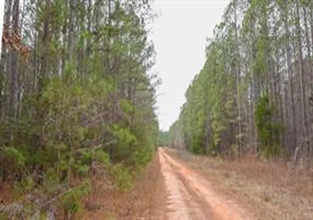 Photo 4 of Sale Pending at 00 Long Cane Ame Rd, Abbeville, SC 29620 | MLS# 20300549 | Listing updated on 2026-08-31