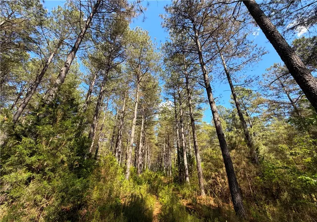 Photo 2 of Land for sale at 3172 Highway 20, Abbeville, SC 29620 | MLS# 20300690 | Listing updated on 2026-09-14