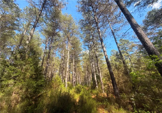 Photo 3 of Land for sale at 3172 Highway 20, Abbeville, SC 29620 | MLS# 20300690 | Listing updated on 2026-09-14