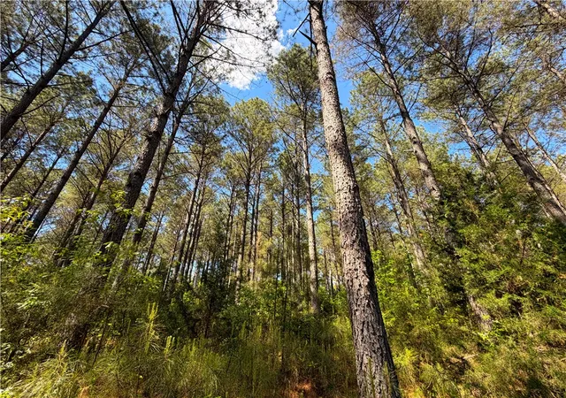 Photo 3 of House for sale at 3172 Highway 20, Abbeville, SC 29620 | MLS# 20300690 | Listing updated on 2026-09-14