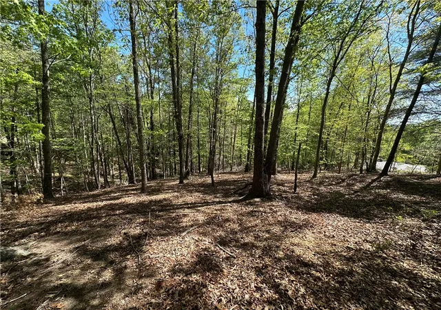 Photo 3 of Sale Pending at 534 Ginseng Dr, Sunset, SC 29685 | MLS# 20300801 | Listing updated on 2026-09-08