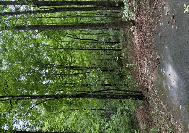 Photo 2 of Land for sale at 125 Cottage Side Trl, Travelers Rest, SC 29690 | MLS# 20302158 | Listing updated on 2026-08-31