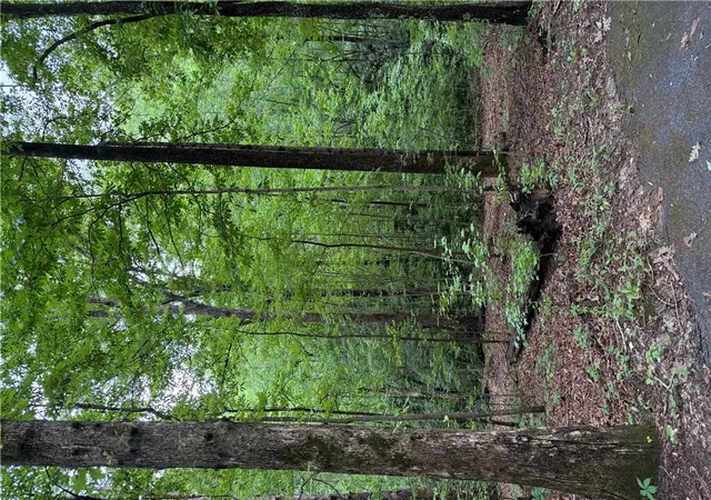 Photo 3 of Land for sale at 125 Cottage Side Trl, Travelers Rest, SC 29690 | MLS# 20302158 | Listing updated on 2026-08-31