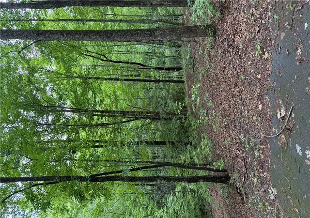 Photo 3 of Land for sale at 125 Cottage Side Trl, Travelers Rest, SC 29690 | MLS# 20302158 | Listing updated on 2026-08-31