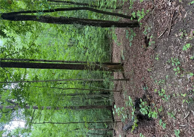 Photo 4 of Land for sale at 125 Cottage Side Trl, Travelers Rest, SC 29690 | MLS# 20302158 | Listing updated on 2026-08-31
