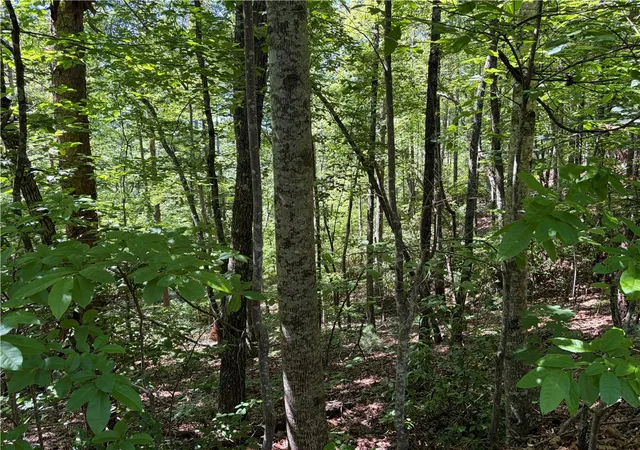 Photo 3 of Sale Pending at 221 Bay View Dr, Salem, SC 29676 | MLS# 20302083 | Listing updated on 2026-09-11