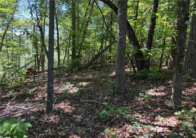 Photo 3 of Sale Pending at 225 Bay View Dr, Salem, SC 29676 | MLS# 20302082 | Listing updated on 2026-09-11