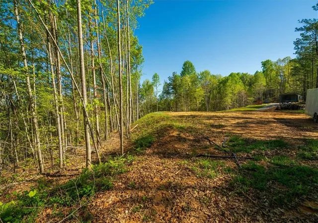 Photo 3 of Land for sale at 280 Dan Ross Rd, Six Mile, SC 29682 | MLS# 20302638 | Listing updated on 2026-09-09
