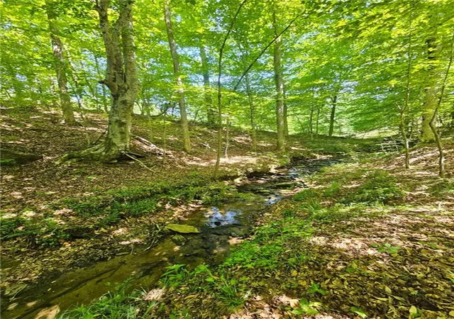Photo 1 of Land for sale at 00 Ridgedale Rd, Six Mile, SC 29682 | MLS# 20302636 | Listing updated on 2026-09-10