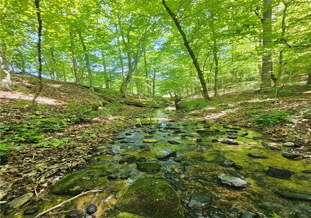 Photo 2 of Land for sale at 00 Ridgedale Rd, Six Mile, SC 29682 | MLS# 20302636 | Listing updated on 2026-09-10