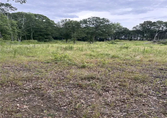 Photo 4 of Land for sale at 5 Lots Flt Rock Rd, Starr, SC 29684 | MLS# 20303117 | Listing updated on 2026-09-12