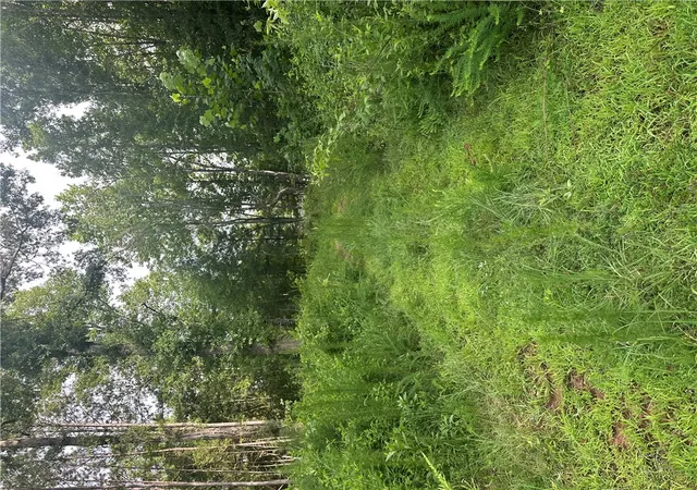 Land for sale at 209 Gale Dr, Pelzer, SC 29669 | MLS# 20303426