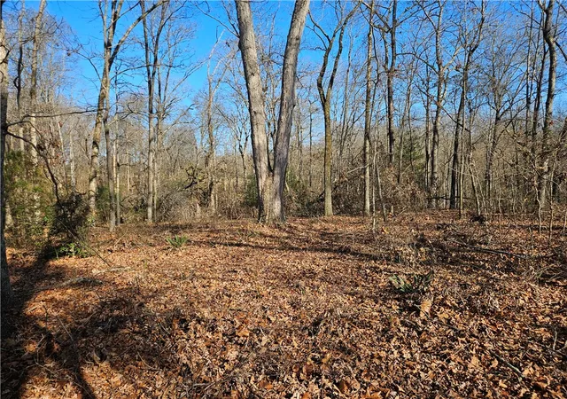 5th image of 25 W Oak Hwy, Townville, SC 29689 | MLS# 20305650