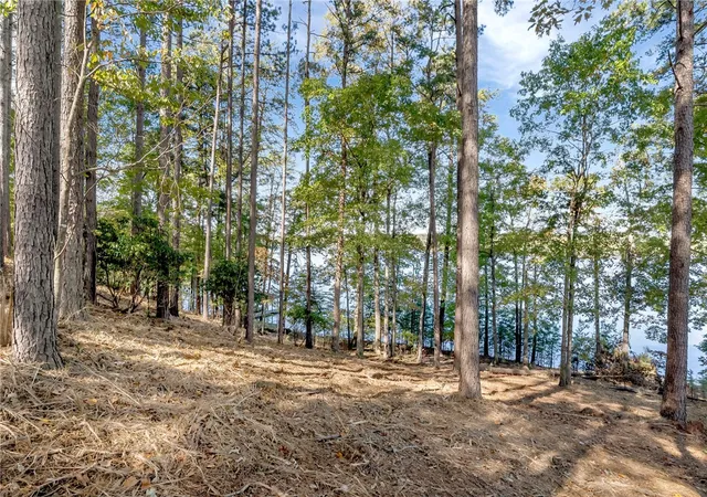 Photo 3 of Land for sale at 145 And 149 Bright Water Trl, Six Mile, SC 29682 | MLS# 20305736 | Listing updated on 2026-09-02