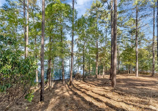 Photo 4 of Land for sale at 145 And 149 Bright Water Trl, Six Mile, SC 29682 | MLS# 20305736 | Listing updated on 2026-09-02