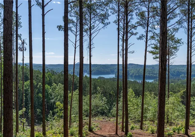 Photo 3 of Land for sale at Lot 7 Canebrake Ests, Salem, SC 29676 | MLS# 20305711 | Listing updated on 2026-09-02