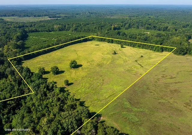 Photo 4 of Sale Pending at 440 Mt Carmel Rd, Abbeville, SC 29620 | MLS# 20305805 | Listing updated on 2026-09-03