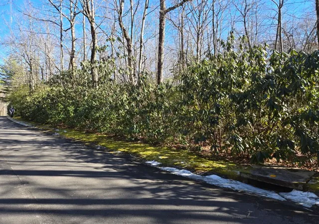 Land for sale at 112 Hemlock Trl, Cleveland, SC 29635 | MLS# 20305818