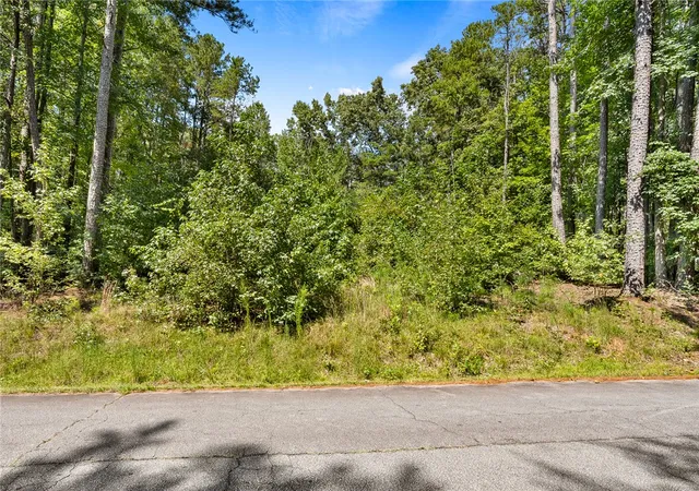 Photo 2 of Land for sale at 132 E Spartan Dr, Westminster, SC 29693 | MLS# 20305695 | Listing updated on 2026-09-04