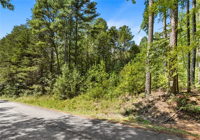 Photo 3 of Land for sale at 132 E Spartan Dr, Westminster, SC 29693 | MLS# 20305695 | Listing updated on 2026-09-04