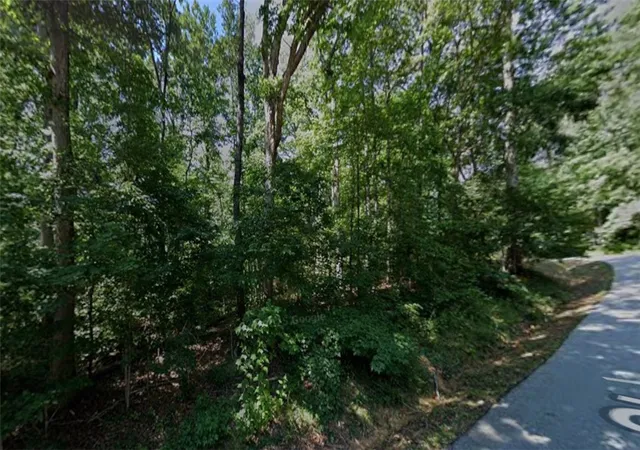 Land for sale at 228 Shannandoah Dr, Westminster, SC 29693 | MLS# 20305568
