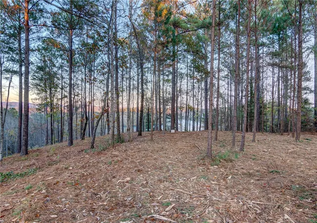 Land for sale at 325 Button Wood Ct, Salem, SC 29676 | MLS# 20305821