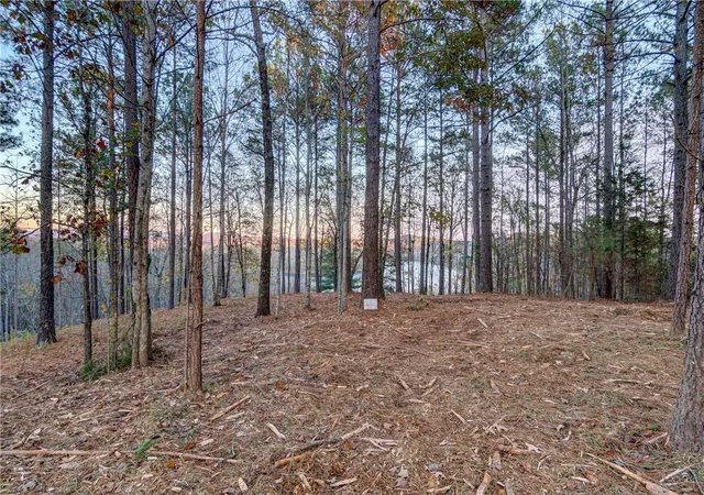 Photo 2 of Land for sale at 325 Button Wood Ct, Salem, SC 29676 | MLS# 20305821 | Listing updated on 2026-09-09