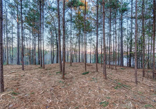 Photo 3 of Land for sale at 325 Button Wood Ct, Salem, SC 29676 | MLS# 20305821 | Listing updated on 2026-09-09