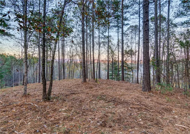Photo 3 of Land for sale at 325 Button Wood Ct, Salem, SC 29676 | MLS# 20305821 | Listing updated on 2026-09-09