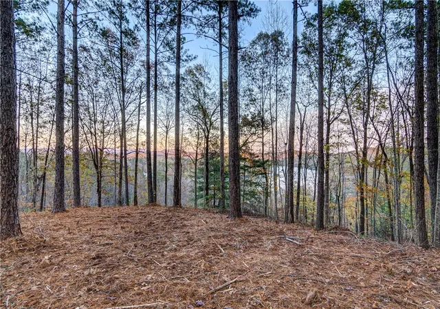 Photo 4 of Land for sale at 325 Button Wood Ct, Salem, SC 29676 | MLS# 20305821 | Listing updated on 2026-09-09