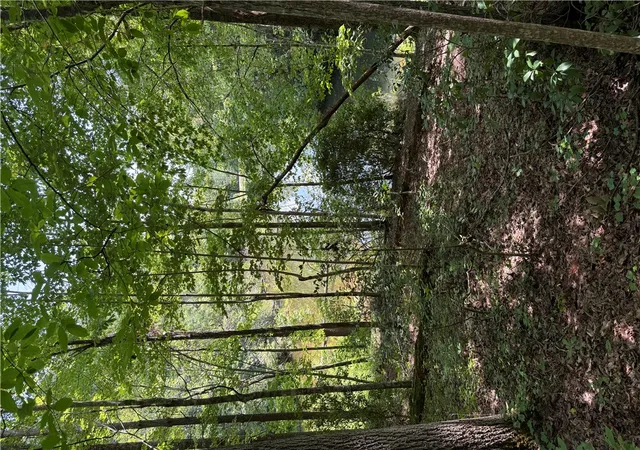 Photo 3 of Land for sale at Lots 94 & 95 Inland Trl, Salem, SC 29676 | MLS# 20305862 | Listing updated on 2026-09-04