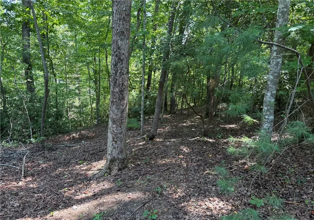 Photo 4 of Land for sale at Lots 94 & 95 Inland Trl, Salem, SC 29676 | MLS# 20305862 | Listing updated on 2026-09-04