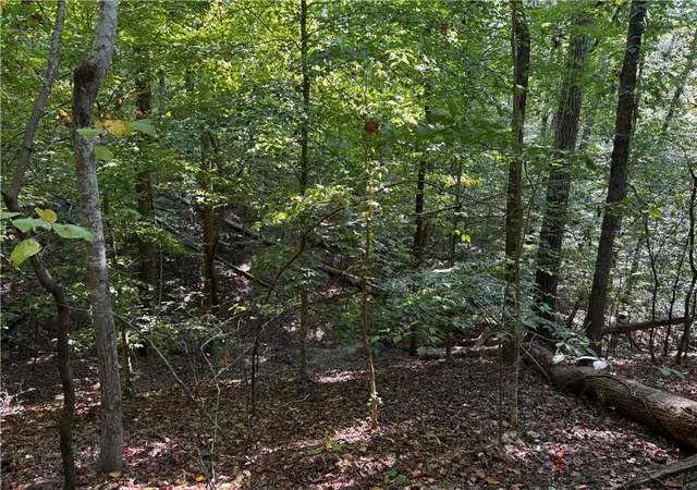 Land for sale at 00 Buttercup Ct #283, Westminster, SC 29693 | MLS# 20305864