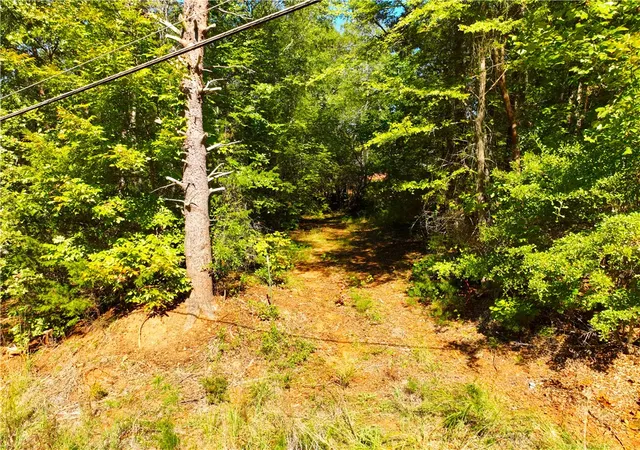 Photo 3 of Land for sale at 5655 Hix Rd, Anderson, SC 29625 | MLS# 20305761 | Listing updated on 2026-10-13
