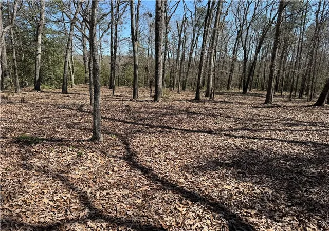 Photo 1 of Land for sale at 00 Golden Hickory Dr, Anderson, SC 29621 | MLS# 20305896 | Listing updated on 2026-09-09