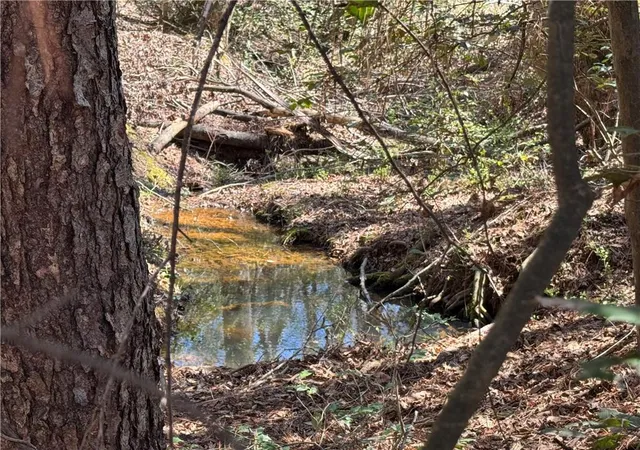 Photo 2 of Land for sale at 00 Golden Hickory Dr, Anderson, SC 29621 | MLS# 20305896 | Listing updated on 2026-09-09