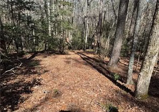 Photo 3 of House for sale at 00 Golden Hickory Dr, Anderson, SC 29621 | MLS# 20305896 | Listing updated on 2026-09-09