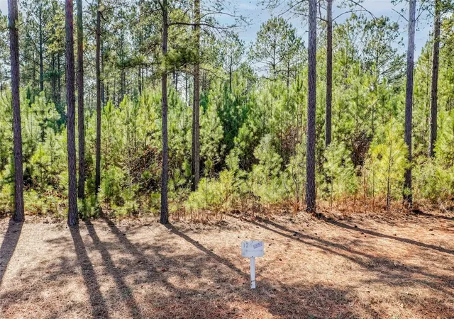 Photo 2 of Sale Pending at Lot 128 Mcalister Rd, West Union, SC 29696 | MLS# 20305742 | Listing updated on 2026-09-15
