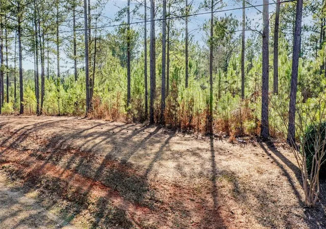 Photo 3 of Sale Pending at Lot 128 Mcalister Rd, West Union, SC 29696 | MLS# 20305742 | Listing updated on 2026-09-15