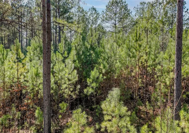Photo 4 of Sale Pending at Lot 128 Mcalister Rd, West Union, SC 29696 | MLS# 20305742 | Listing updated on 2026-09-15