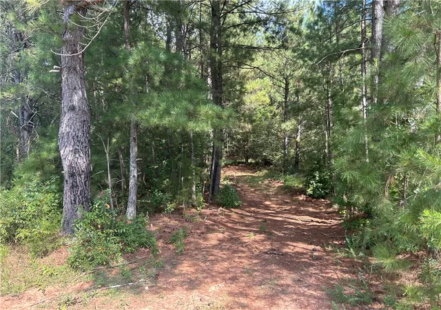 Photo 3 of Land for sale at 00 Highway 28 S, Anderson, SC 29624 | MLS# 20305928 | Listing updated on 2026-09-21