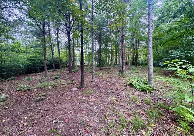Photo 1 of Land for sale at 2 Darting Sparrow Way, Marietta, SC 29661 | MLS# 20305922 | Listing updated on 2026-09-08
