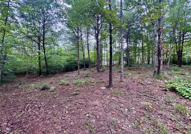 Photo 2 of Land for sale at 2 Darting Sparrow Way, Marietta, SC 29661 | MLS# 20305922 | Listing updated on 2026-09-08