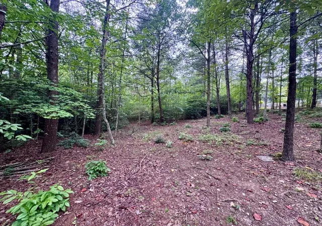 Photo 3 of Land for sale at 2 Darting Sparrow Way, Marietta, SC 29661 | MLS# 20305922 | Listing updated on 2026-09-08