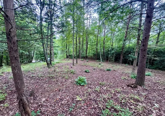 Photo 3 of Land for sale at 2 Darting Sparrow Way, Marietta, SC 29661 | MLS# 20305922 | Listing updated on 2026-09-08