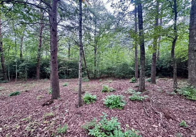 Photo 4 of Land for sale at 2 Darting Sparrow Way, Marietta, SC 29661 | MLS# 20305922 | Listing updated on 2026-09-08