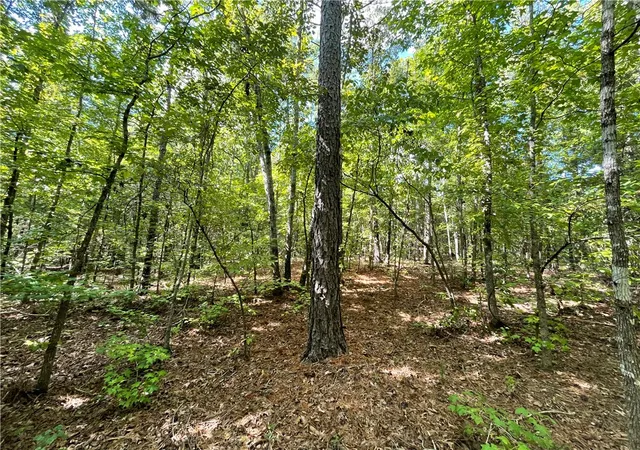 Photo 30 of Land for sale at 00 Riverfork Rd, Waterloo, SC 29384 | MLS# 20305998 | Listing updated on 2026-09-10